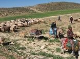 توسعه زیرساخت عمرانی عشایر نهاوند نیازمند ۱۱۰ میلیارد ریال اعتبار