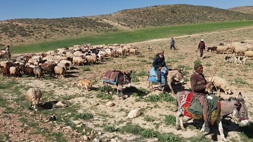 برگزاری جلسه کمیته روستایی عشایری ستاد دهه فجر در شهرستان شهربابک 