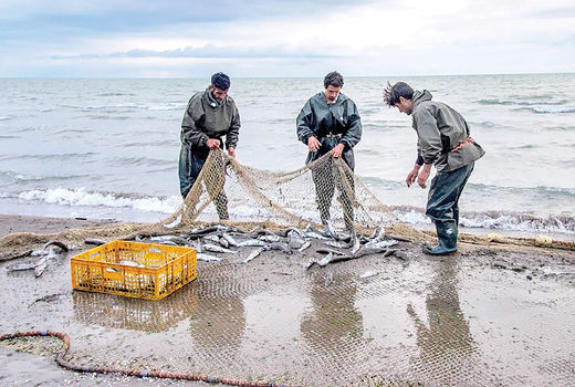 توقیف 223 شناور صیادی متخلف در صیدگاه‌های خوزستان