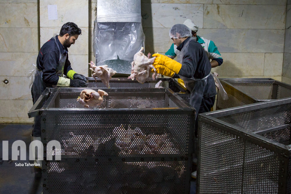 بسته‌بندی محصولات پروتئینی