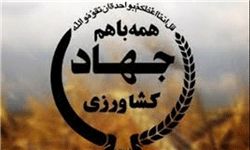 سه طرح آب و خاک و گلخانه شهرستان بافت در هفته جهاد کشاورزی به بهره برداری 
رسید