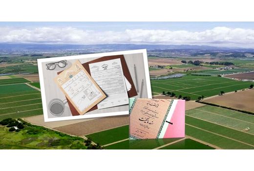 385 فقره سند مالکیت برای اراضی کشاورزی ساری صادر شد