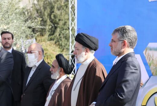 روز درختکاری سال 1401