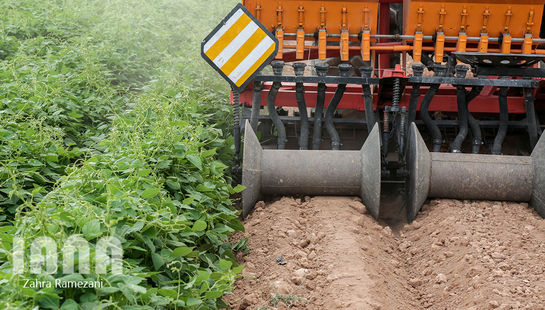 خلاقیت کشاورز اهل خمین