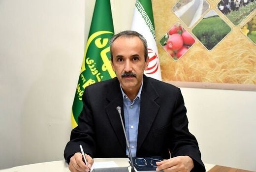 رعایت اصول زراعت دیم در شرایط خشکسالی اهمیت حیاتی دارد