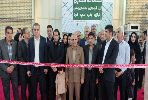 نمایشگاه گل و گیاهان زینتی در چهارمحال و بختیاری گشایش یافت