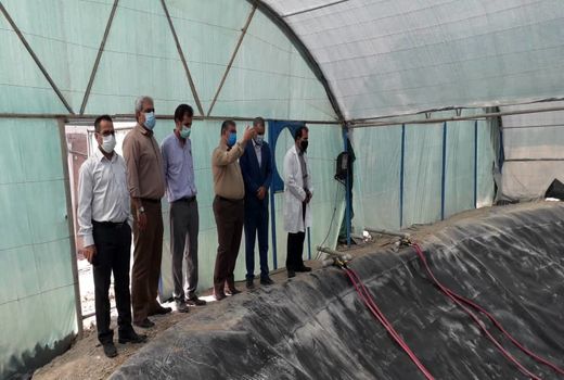 طرح نرسری (نوزادگاهی) راه نجات مجتمع پرورش میگو چوئبده آبادان