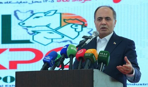 تأمین کالاهای اساسی با وجود محاصره دریایی ادامه دارد / اصلاحات ارزی بازار نهاده‌های دامی را شفاف کرد