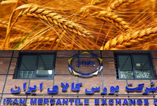 مهم‌ترین مزایای اجرای سیاست قیمت تضمینی در بورس کالا