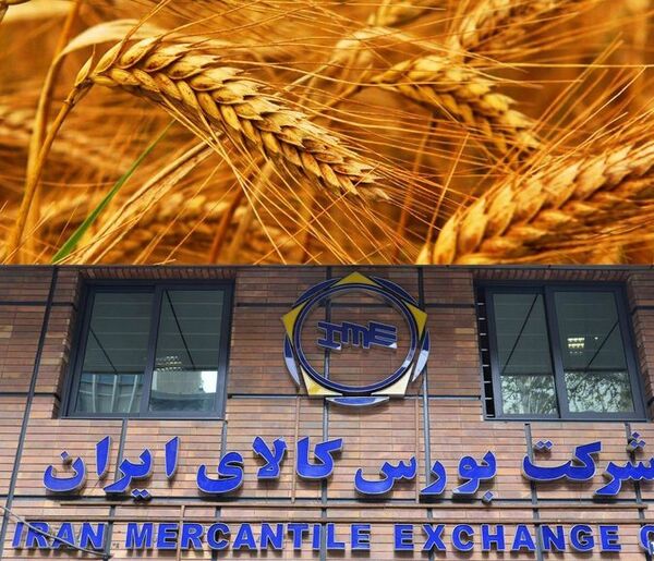 مهم‌ترین مزایای اجرای سیاست قیمت تضمینی در بورس کالا