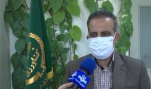 مبارزه با ملخ‌های صحرایی در بیش از ۴۲ هزار هکتار اراضی