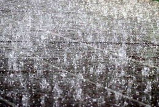 خسارت تگرگ به سردرختی باغات در اسفراین 