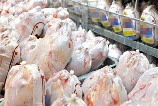 آغاز خرید تضمینی گوشت مرغ در چهارمحال و بختیاری