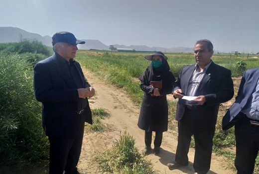 بازدید سرپرست معاونت  امور زراعت در وزارت جهاد کشاورزی از رهاسازی آب سد درودزن زرقان