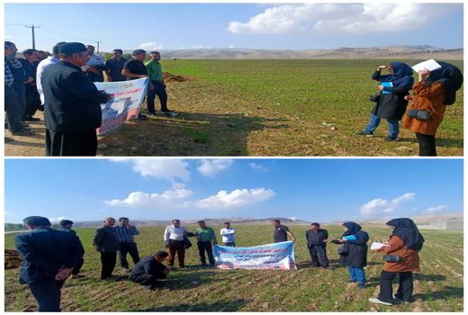 افزایش دانش کشاورزان در دیمزارهای ایذه