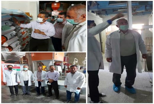 نظارت بر روند توزیع نهاده‌های دامی در شهرستان تاکستان