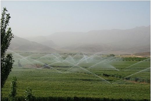 باغداران زیودار برای مجهز کردن باغات خود به آبیاری نوین اقدام کنند