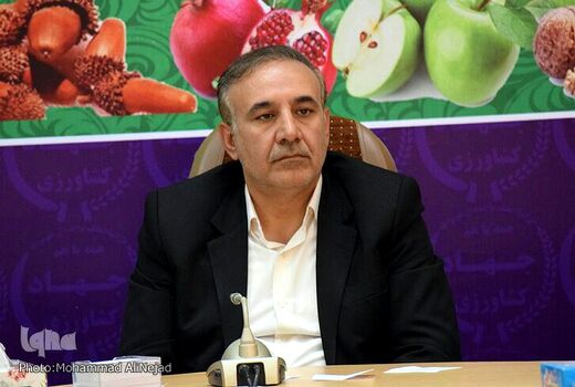 تاکنون ۲۶۵ هزار تن گندم مازاد بر نیاز  کشاورزان لرستانی خریداری شده است
