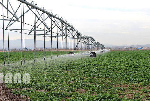 از توسعه گلخانه‌ها تا سامانه‌های نوین آبیاری