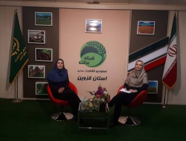 بررسی موضوع "محصولات کشاورزی گواهی شده" در برنامه استودیو کشاورز استان قزوین 