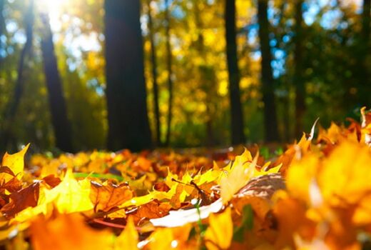 پاییز خنکی در راه نیست