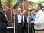 افزایش ۲۰ درصدی تولید توت‌فرنگی گلخانه‌ای در آذربایجان شرقی/ تولید سالانه به ۴۵۰ تن رسید