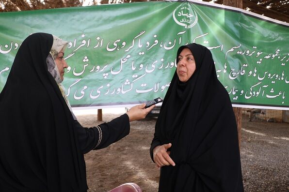 باغداران کرمانی از جابه جایی پاجوش های آلوده به سوسک سرخرطومی حنایی خودداری کنند