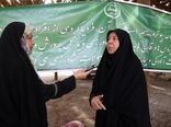 باغداران کرمانی از جابه جایی پاجوش های آلوده به سوسک سرخرطومی حنایی خودداری کنند