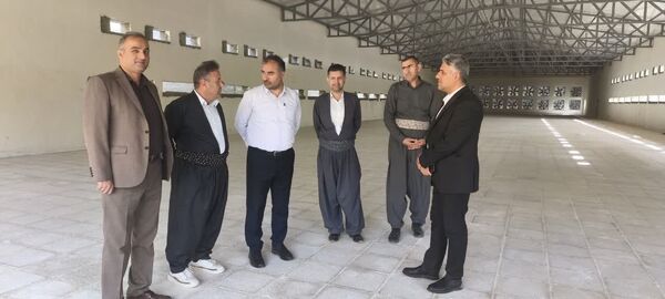 بازدید رییس سازمان جهاد کشاورزی آذربایجان‌غربی از واحد مرغداری تخم‌گذار ۱۰۰ هزار قطعه‌ای در سردشت
