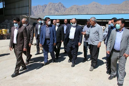 بازدید نماینده مردم شهرستانهای خرم آباد و چگنی در مجلس شورای اسلامی از مجتمع دامپروری در لرستان