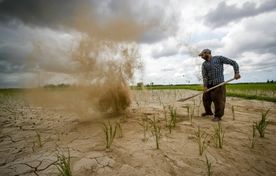 خاک تمام می‌شود