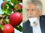 پیش‌بینی تولید بیش از 37 هزار تن محصولات باغی از باغات شهرستان کرمانشاه