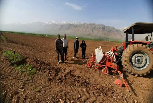 آغاز کشت چغندر قند در شهرستان فارسان 