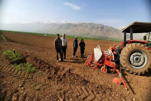 آغاز کشت چغندر قند در شهرستان فارسان 