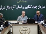 خرید گندم در استان آذربایجان شرقی از مرز ۲۴۲  هزار تن گذشت