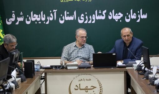خرید گندم در استان آذربایجان شرقی از مرز ۲۴۲  هزار تن گذشت