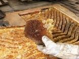 پیش‌بینی افزایش ۵۰ درصدی تولید عسل در شهرستان اسلام آباد غرب