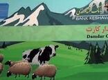 76 میلیارد ریال مرحله اول اعتبارات دامدار کارت به استان البرز اختصاص یافت