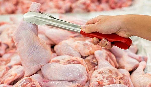 ۳۸۰ هزار مرغ آماده کشتار و عرضه به بازار مصرف چهارمحال و بختیاری