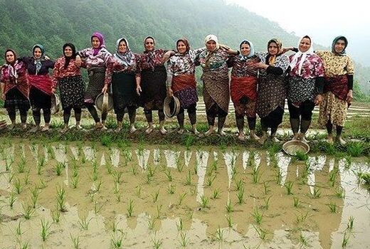 زنان توانمند؛ قلب تپنده کشاورزی ایران