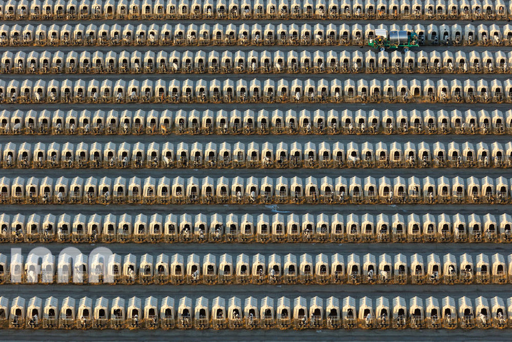 کشاورزی قرن 21