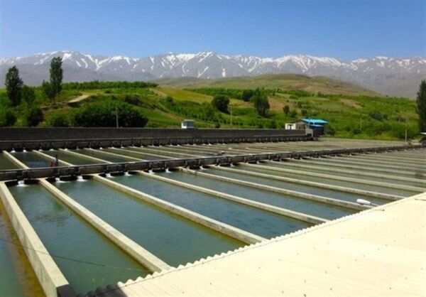 افتتاح 67 پروژه کشاورزی در کهگیلویه و بویراحمد با اعتبار 40.6 میلیارد تومان/ افتتاح مجتمع پرورش ماهی 100 تنی چنار برم