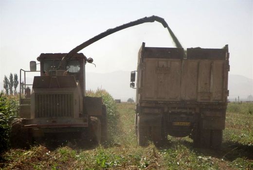 کسب رتبه برتر کشوری در ارتقاء درجه مکانیزاسیون گندم دیم در بخش کشاورزی استان زنجان