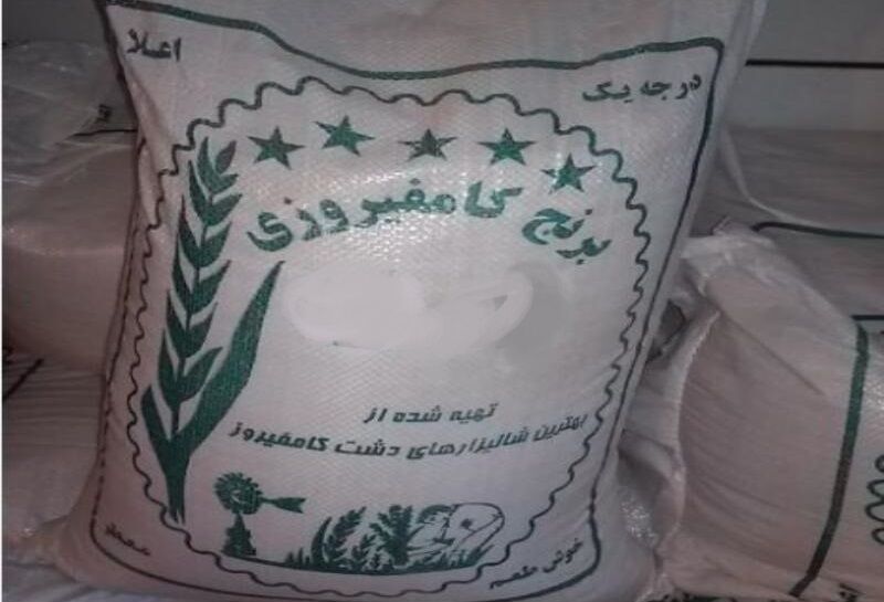 برنج کامفیروز، سرگردان از بلاتکلیفی الگوی کشت/ پرداخت حق نکاشت به کشاورزان حوزه آبخور سد درودزن