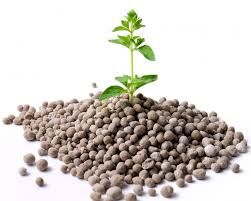 شورای اطلاع رسانی کود و سم در جهاد کشاورزی تشکیل شد