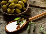 توسعه تولید فرآورده‌های زیتون در کشت و صنعت مغان
