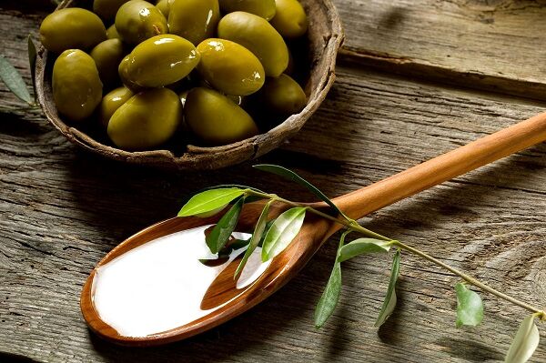 توسعه تولید فرآورده‌های زیتون در کشت و صنعت مغان
