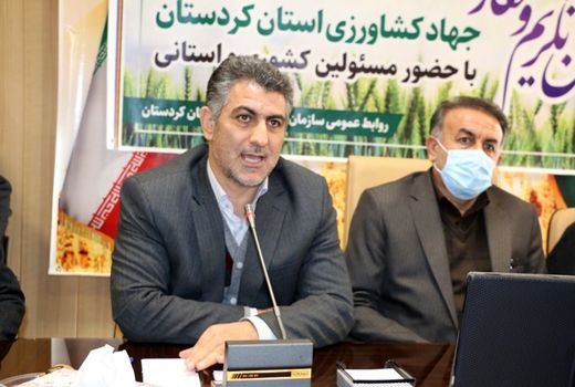 دولت سیزدهم به دنبال اقتدار غذایی است