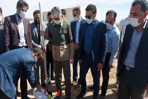 درختکاری در منطقه ویژه اقتصادی بیرجند با حضور رئیس سازمان و استاندار 