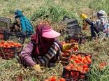 توانمندسازی ۳ هزار زن روستایی برای حضور در بازارهای بین‌المللی